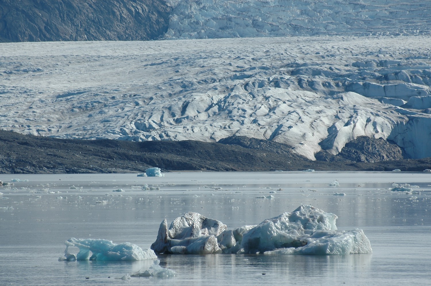 ARCTIC
